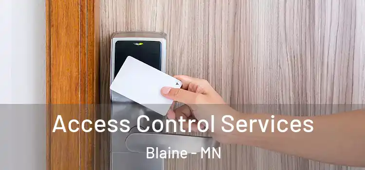 Access Control Services Blaine - MN
