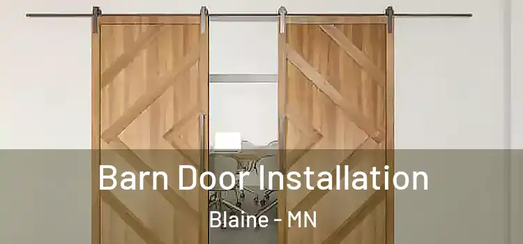  Barn Door Installation Blaine - MN