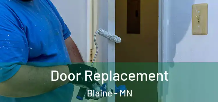 Door Replacement Blaine - MN