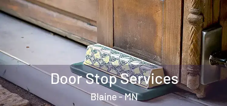 Door Stop Services Blaine - MN