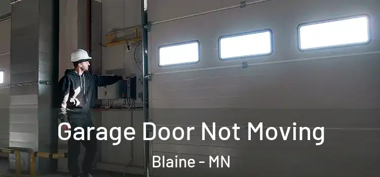  Garage Door Not Moving Blaine - MN