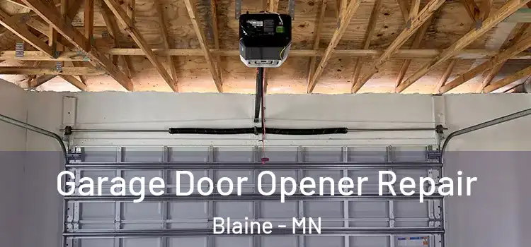  Garage Door Opener Repair Blaine - MN