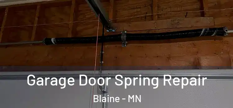  Garage Door Spring Repair Blaine - MN