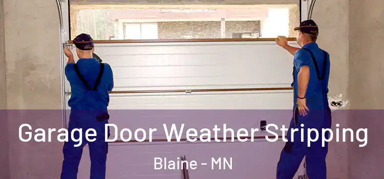  Garage Door Weather Stripping Blaine - MN