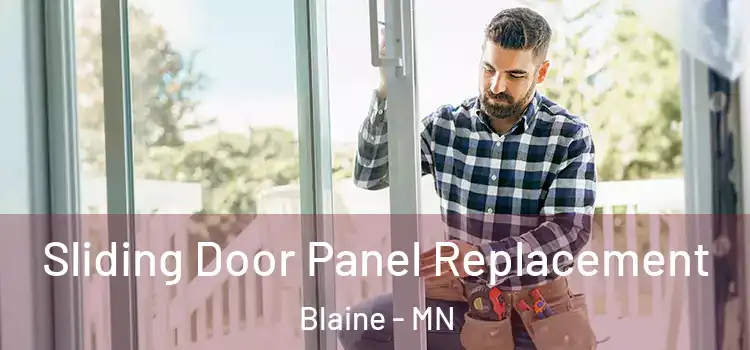  Sliding Door Panel Replacement Blaine - MN
