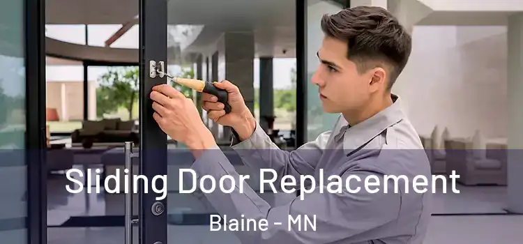  Sliding Door Replacement Blaine - MN