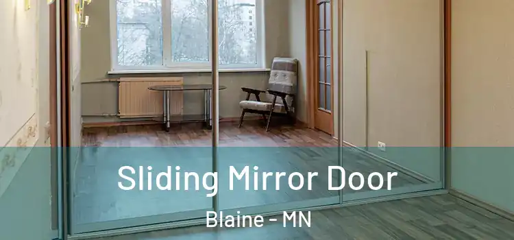  Sliding Mirror Door Blaine - MN